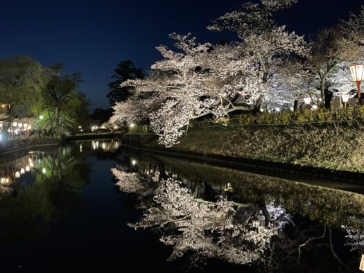 ブレスエンジェル | 満開の桜を堪能する　鶴岡公園