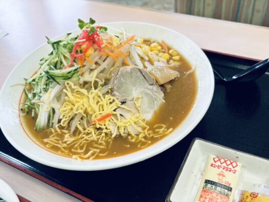 ブレスエンジェル | まんぞく 冷やしつけ麺｢らー麺工房はくが｣はお気に入り 鶴岡市