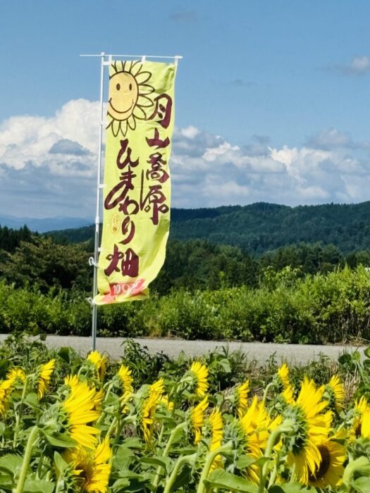 ブレスエンジェル | 元気 ひまわり｢月山高原｣で咲き誇る 鶴岡市